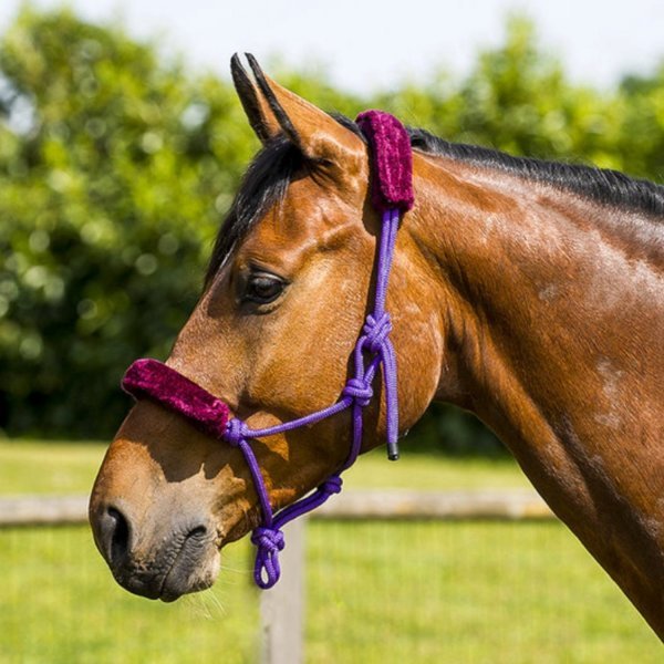  Knotenhalfter mit Fell - ethologisches Halfter, Bodenarbeit, Horsemanship, Western, Training, Longieren, Einheitsgröße